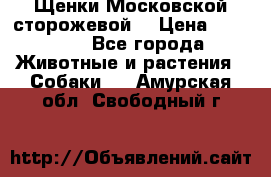 Щенки Московской сторожевой  › Цена ­ 25 000 - Все города Животные и растения » Собаки   . Амурская обл.,Свободный г.